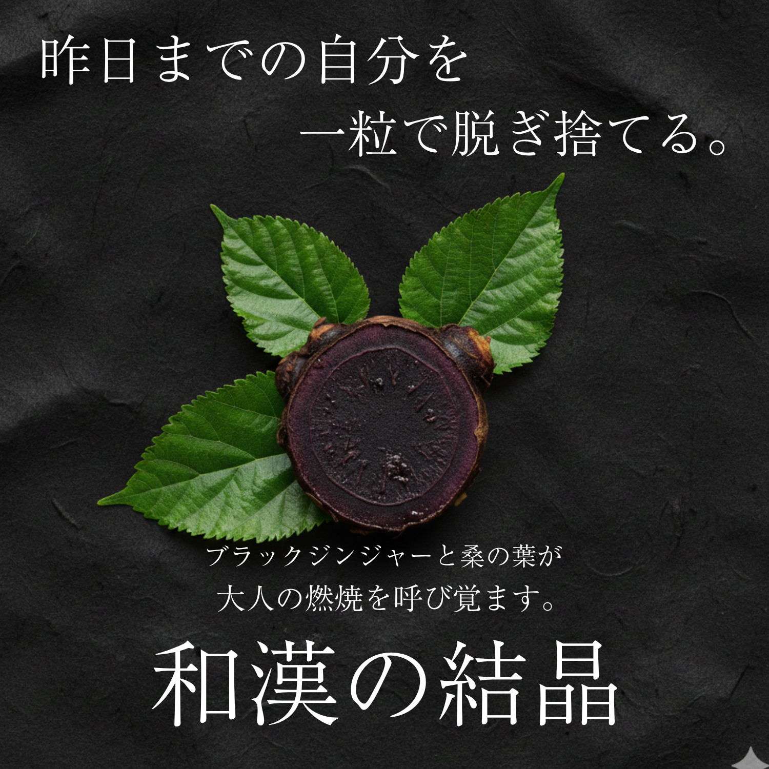 ブラックジンジャーと桑の葉の効果